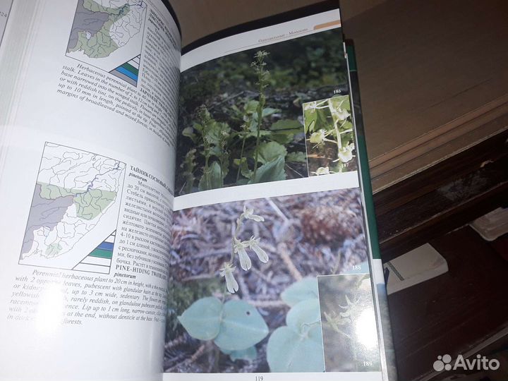 Растительный мир Уссурийской тайги. Определитель