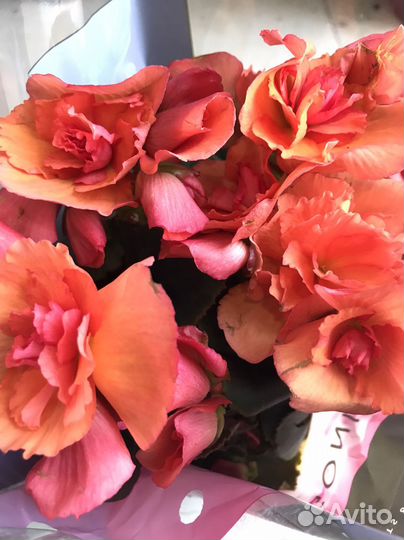 Цветы ко Дню Учителя