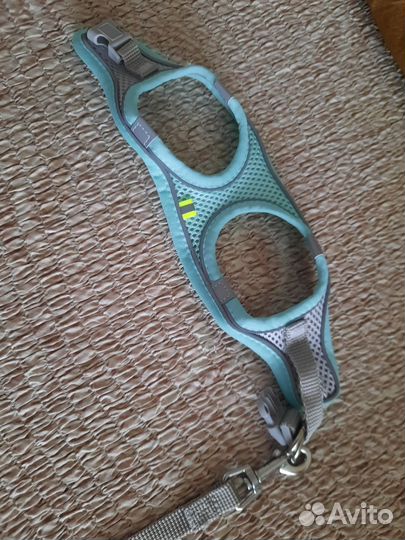 Шлейка для кошки или маленькой собачки