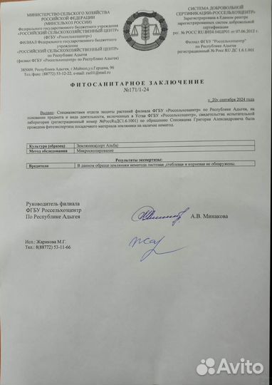 Рассада клубники Тоскана Зкс Касета 64