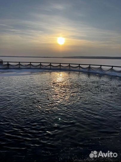Свежая рыба форель