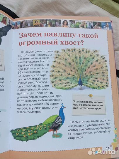 Книга