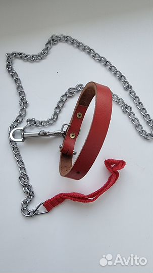 Ошейник с поводком, для собак мелкой породы