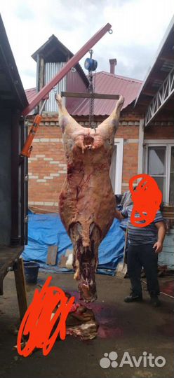 ГАЗ ГАЗель 3302 2.4 МТ, 2000, 3 000 км