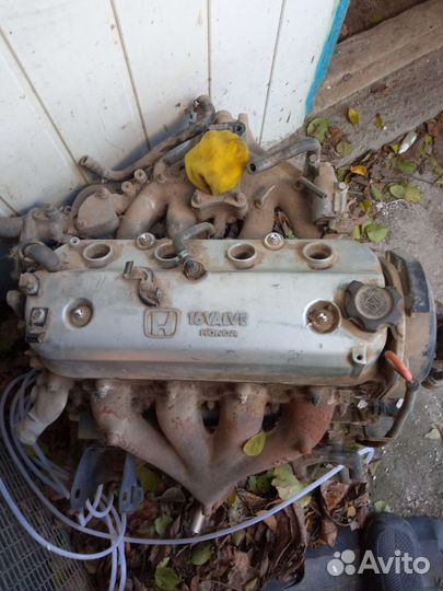 Двигатель хонда аккорд F18A