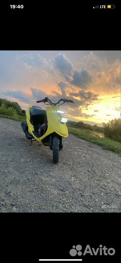 Suzuki sepia
