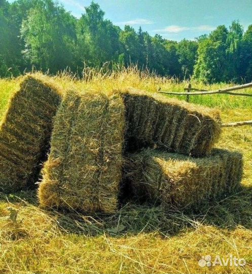 Сено и солома в кипах