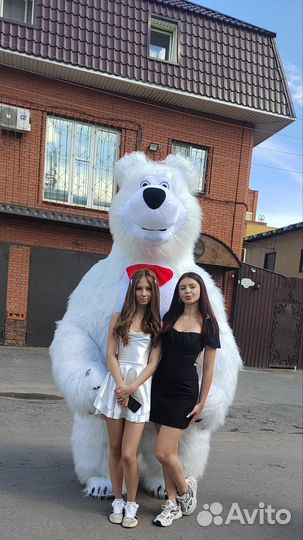 Белый мишка на праздник(есть панда, зайка, Тедди)