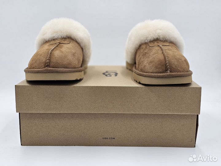 Ugg Slippers Scufette