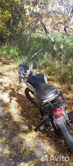 Продам альфу