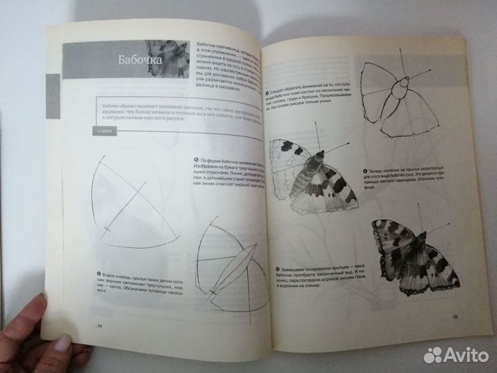 Самоучитель по рисованию