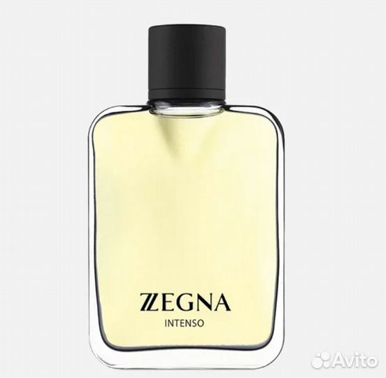 Ermenegildo zegna intenso