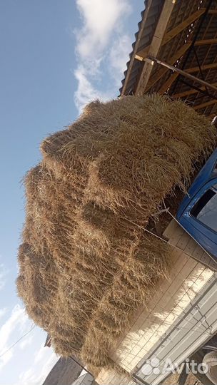 Солома в тюках с доставкой