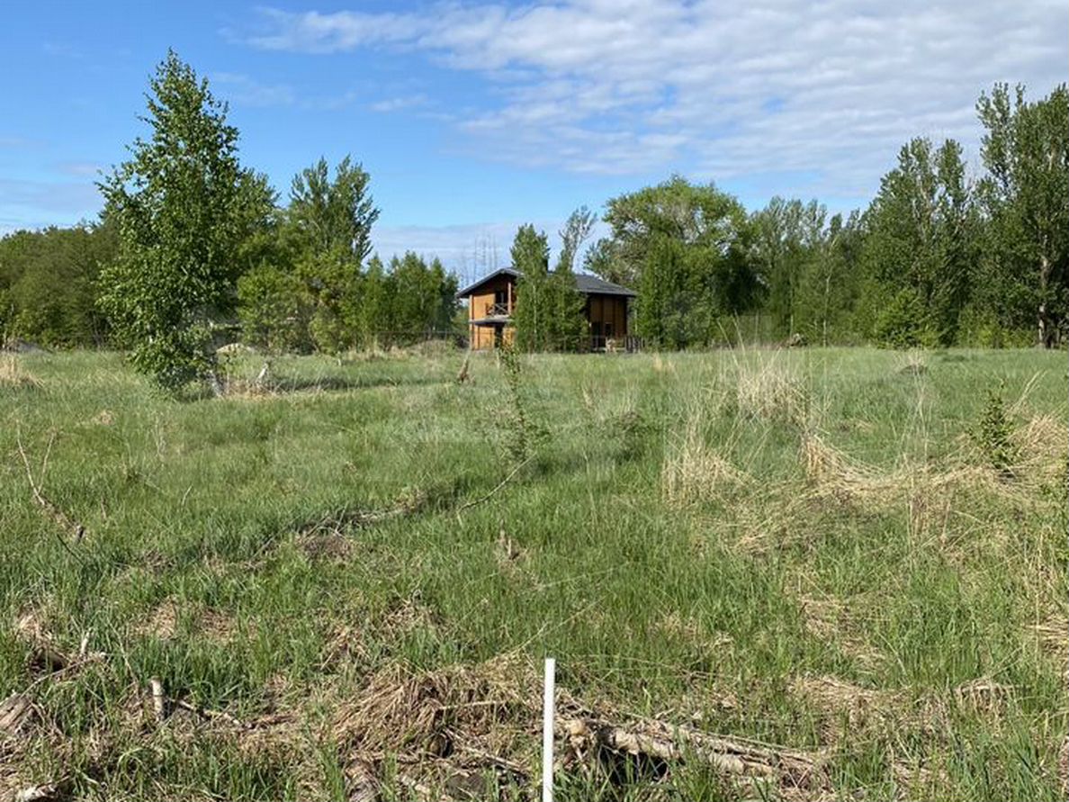 горельский лесхоз - Недвижимость в Тамбовской области 🏡: квартиры, дома,  коммерческая недвижимость, земля | Продажа и аренда недвижимости | Авито