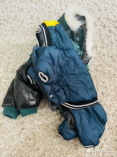 Одежда для собак за 2