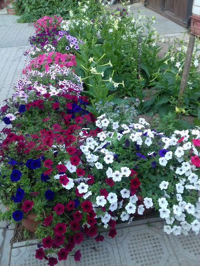 Дом 28 м² на участке 16 сот.