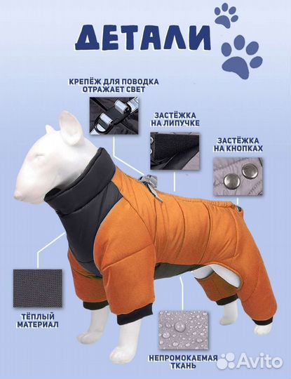 Одежда для собак