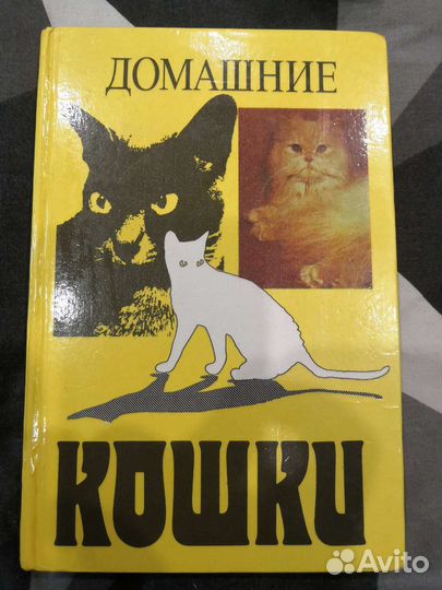 Домашние кошки