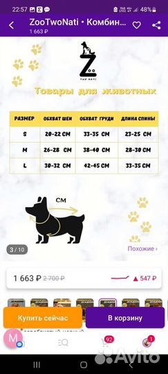 Дождевик для маленькой собаки