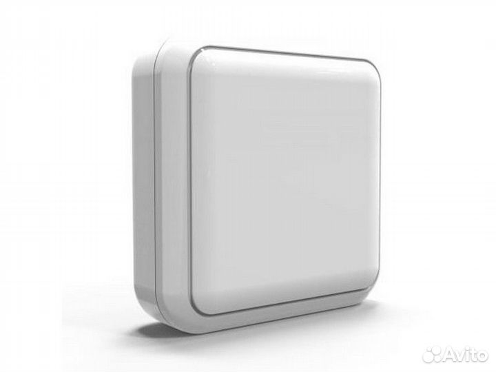 Беспроводной датчик температуры Tech CL-mini