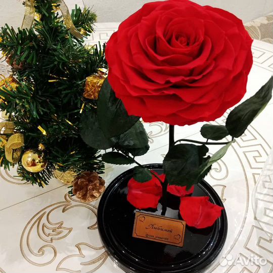 Роза в колбе king