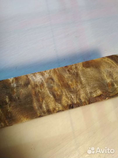 Брусок корневища камфоры