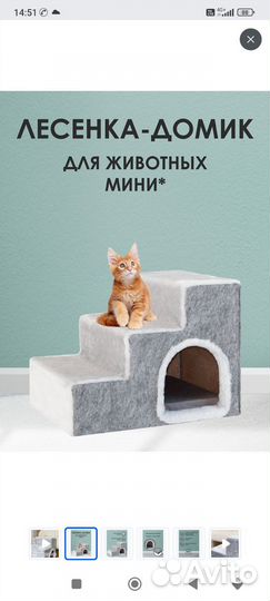 Лесенка домик для животных