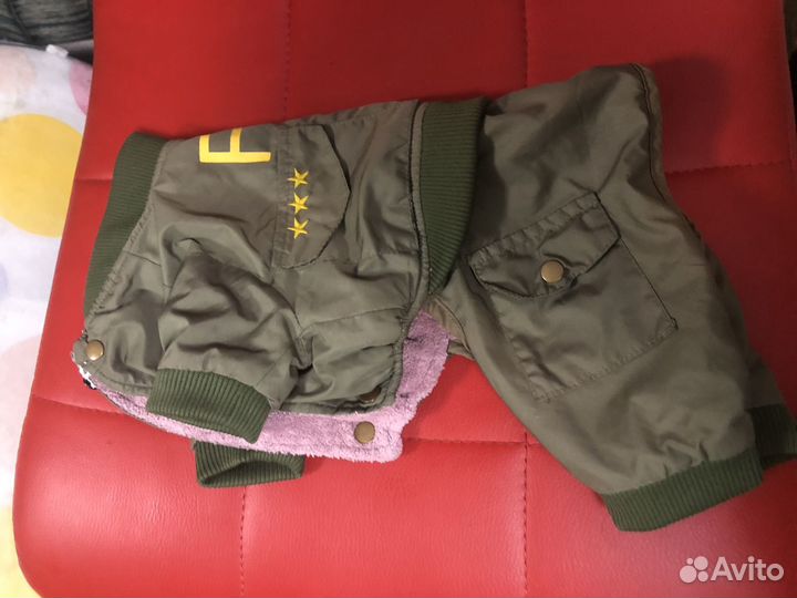Одежда для собак мелких пород