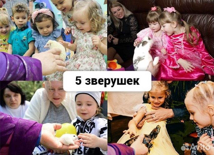 Фокусник с 5 Животными на Детский Праздник Фокусы