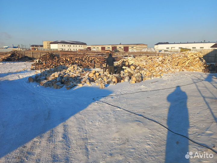 Дрова берёза не горелая в Рябково