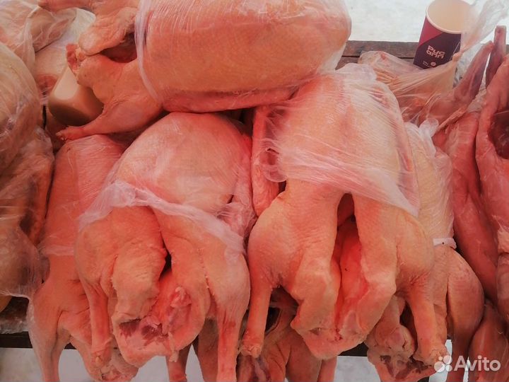 Муларды, куры, утки, гуси, цыплята,кролики,индейка