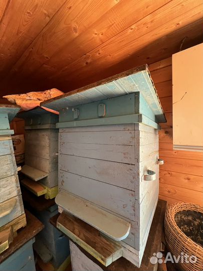 Ульи для пчел