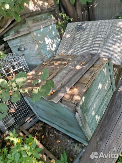 Ульи для пчел