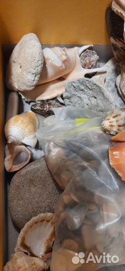 Грот, ракушки, камушки для авариума