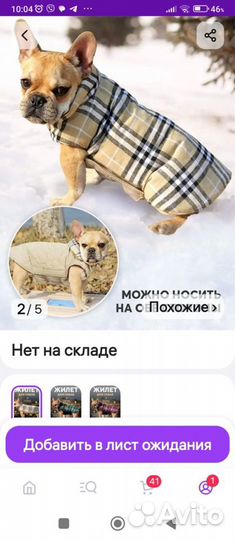 Одежда для собак