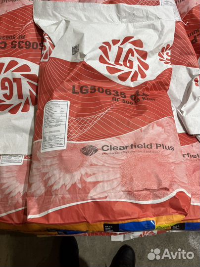 Семечки на посев