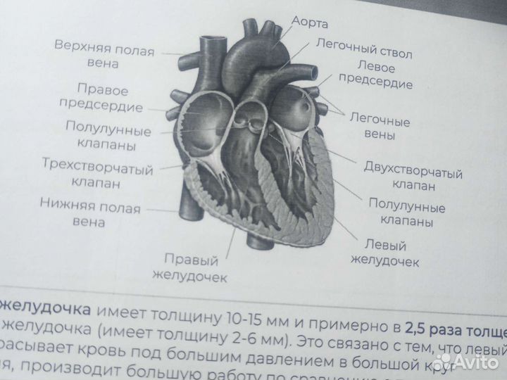 ЕГЭ биология шпаргалки и задания прошлых