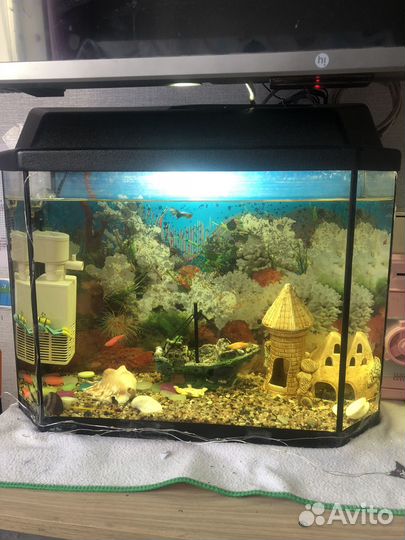 Аквариум