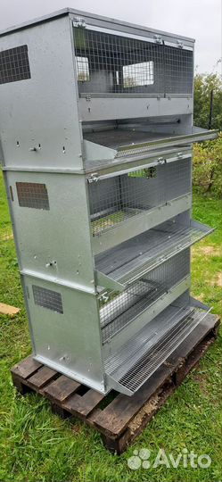 Клетки для кур несушек