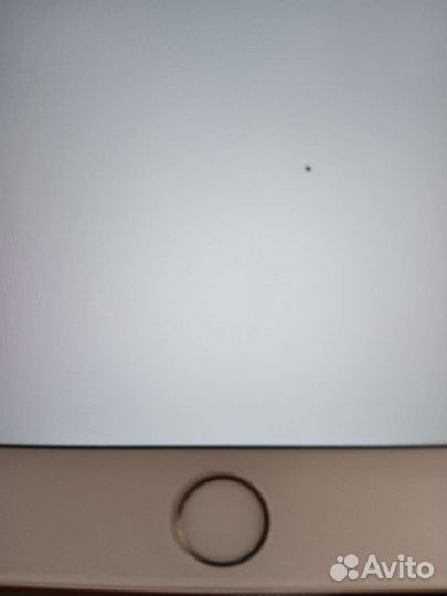 iPhone 6 plus