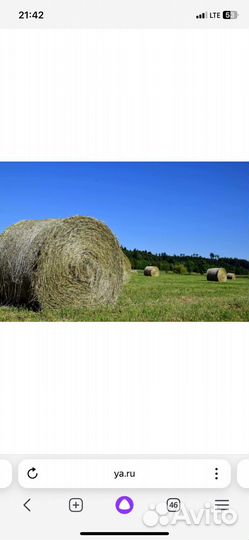 Сено в тюках