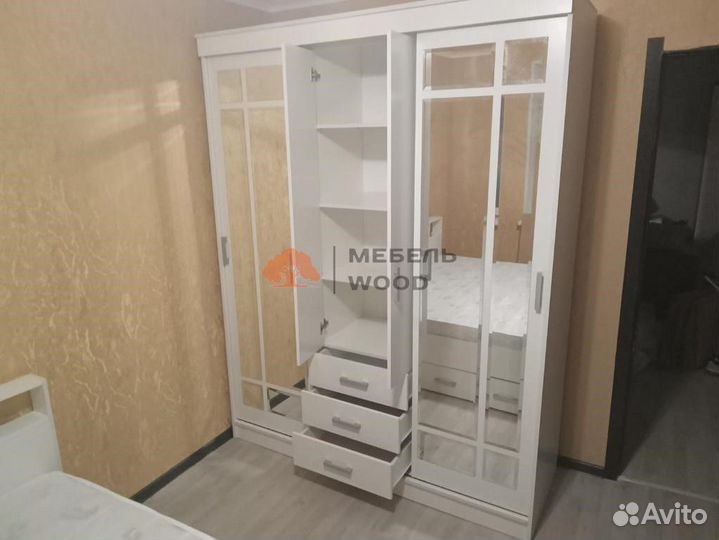 Шкаф купе Маэстро