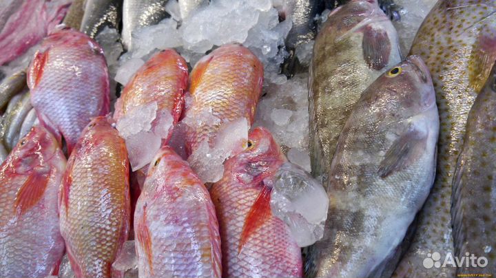 Рыбный бизнес с премиальным ассортиментом морепрод