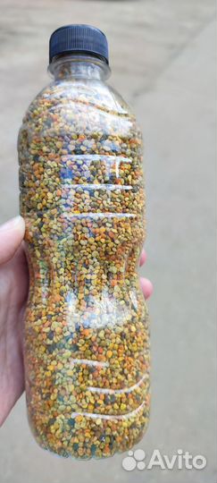 Пыльца пчелиная