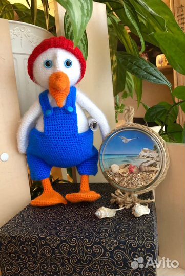 Чайка птица крючком