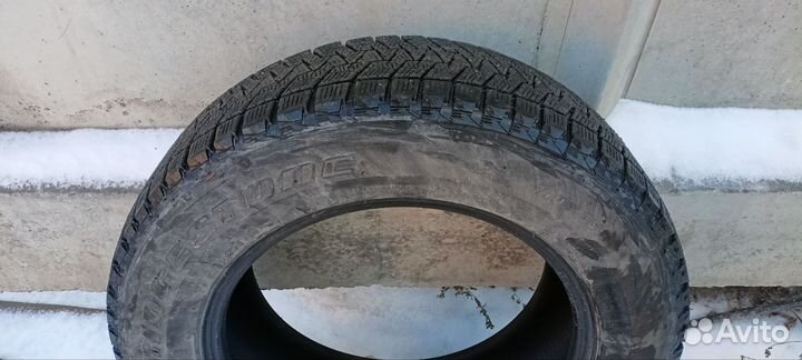 Bridgestone Blizzak DM-V1 225/65 R17