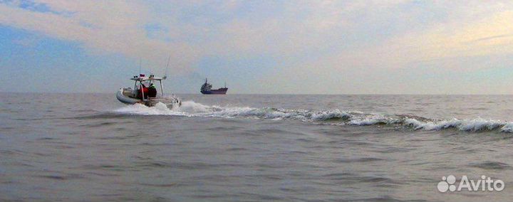 Катер риб RX-753