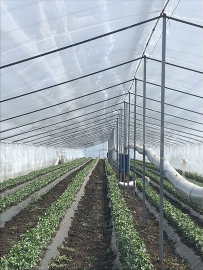 Участок 16,7 га (СНТ, ДНП)