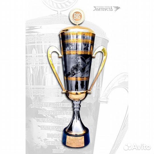 Кубок для награждения«BIS»