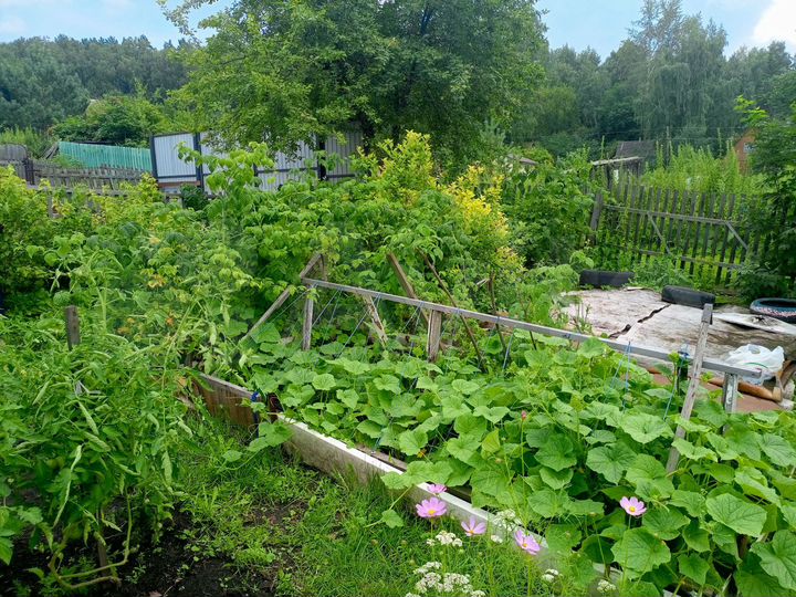 Дача 10 м² на участке 4,8 сот.